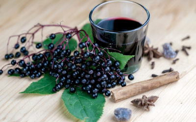 How to Use Elderberry for Cold and Flu Season