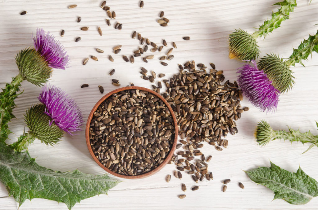 Milk Thistle for immunity